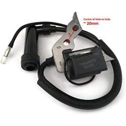 1KW 1.2KW 1.4KW 1.5KW 1.8KW Chinese 154F Generator Ignition Coil for 1000 W 1200 W 1400 W 1500 W 1800 W Generator Ignition Coil Lawnmower Motor Engine