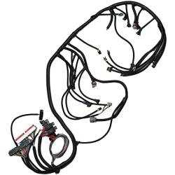 Dasbecan LS Standalone Wiring Harness Compatible with 1999-2006 GM DBC LS1 Swap Vortec 4.8 5.3 6.0 Engine Stand Alone Wire Harness with 4L60E Drive by Cable, 60A Relay, EV1 Fuel Injector Connector