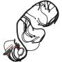 Dasbecan LS Standalone Wiring Harness Compatible with 1999-2006 GM DBC LS1 Swap Vortec 4.8 5.3 6.0 Engine Stand Alone Wire Harness with 4L60E Drive by Cable, 60A Relay, EV1 Fuel Injector Connector