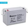 Renogy Deep Cycle AGM Battery 12 Volt 100Ah, 3% Self-Discharge Rate, 2000A Max Discharge Current, Safe Charge Most Home Appliances for RV, Camping, Cabin, Marine and Off-Grid System, Maintenance-Free