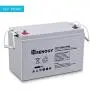Renogy Deep Cycle AGM Battery 12 Volt 100Ah, 3% Self-Discharge Rate, 2000A Max Discharge Current, Safe Charge Most Home Appliances for RV, Camping, Cabin, Marine and Off-Grid System, Maintenance-Free