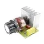 Hailege 2pcs 3800W SCR Speed Controller AC Electric Voltage Regulator Dimming Temperature Silicon Controller Switch AC 220V