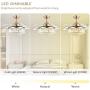 NOXARTE Chandelier Ceiling Fan Modern Dimmable Crystal Raindrop Ceiling Light Invisible Retractable Blades Fan for Bedroom Living Room Gold 36 Inch