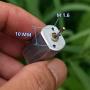 Xuulan Xianglaa-Motor 050 Precious Metal Brush High Speed Mini Motor, High Torque Hobby DIY, Electric Micro Small 050 Motor,