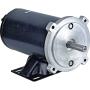 DB Electrical LPL0097 NEW MOTOR FOR LEESON PACIFIC 12V CANIMEX SPREADERS 120Z402H 120Z402H1 120Z402H2 108046 C4D17NK10B C4D17NK68 C4D17NK6B C4D17NK73 BA-3630-700066 4BB-01601 4BB-1601 BA-3630-70066056