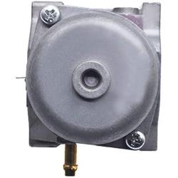 ALL-CARB 799728 Carburetor with Gaskets Replacement for Briggs & Stratton 799728 498027 498231 499161 Models