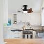 DIDER 24 Flush Mount Ceiling Fan with Lights and Remote Control, 5 Blades, Low Profile Ceiling Fan for Indoor and Outdoor Space