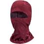 Little Donkey Andy Balaclava Face Mask UV Protection for Men Women Sun Hood Ski Motorcycle Running Riding