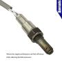 Amrxuts 18213-98J30 Lambda Sensor O2 Oxygen Sensor for Suzuki 2013-2019 DF115A / DF140A Outboard Motors 1821398J30
