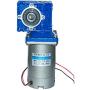 Bemonoc High Torque 24V 120W Electric DC Worm Gear Motor 45RPM with Gearbox Speed Reducer Ratio 40:1