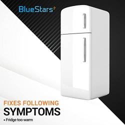 Ultra Durable 242077702 Refrigerator Evaporator Fan Motor Replacement Part by Blue Stars - Exact Fit for Frigidaire Models - Replaces PS12728811 242077705 AP6892595 242077701 242219201 5304514392