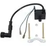 QAZAKY CDI Ignition Coil Spark Plug for 49cc 50cc 60cc 66cc 70cc 80cc 2-stroke Engine Motorized Bicycle Bike QAZAKY CDI Ignition Coil Spark Plug for 49cc 50cc 60cc 66cc 70cc 80cc 2-stroke Engine Motorized Bicycle Bike