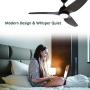 Nocolliny Modern Ceiling Fan 52