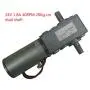 IRUI DC 12V/24V Speed Adaptable Durable Carbon Brush Turbine Worm Speed Reduction Gear Motor (24V 1.8A 40RPM 20Kg.cm, Dual shaft)