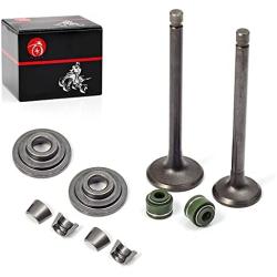 MOTO1988 Engine Valve Set Exhaust Valve Intake Valves For Honda XR100R XR80R CRF100F CRF80F NSF100 XL100S XL75 XL80S XR100 XR75 XR80 OEM 14711-152-000 14721-176-000