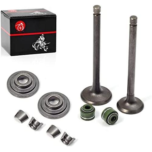 MOTO1988 Engine Valve Set Exhaust Valve Intake Valves For Honda XR100R XR80R CRF100F CRF80F NSF100 XL100S XL75 XL80S XR100 XR75 XR80 OEM 14711-152-000 14721-176-000