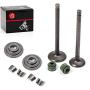 MOTO1988 Engine Valve Set Exhaust Valve Intake Valves For Honda XR100R XR80R CRF100F CRF80F NSF100 XL100S XL75 XL80S XR100 XR75 XR80 OEM 14711-152-000 14721-176-000