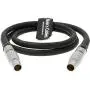 Alvins Cables Nucleus M 7 Pin to 7 Pin Motor to Motor Connection Cable 40CM Straight