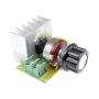 Régulateur de tension électronique pour moteur, variateur de vitesse à thyristor SCR importé 3800W, contrôleur de vitesse en silicone 220V AC. Régulateur de tension électronique pour moteur, variateur de vitesse à thyristor SCR importé 3800W, contrôleur de vitesse en silicone 220V AC.