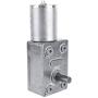 Reversible Gear Motor, DC 12V Speed Reduction Motor High Turbo Worm Gear Motor(5RPM)
