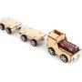 WaNana Electric Train Locomotive and Railway Carriage-Electric Motor Physical Science Toys-DIY Wooden Science Experiment Kits-Circuit Building STEAM Toys Fashion B