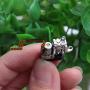 Acxico 2 pcs Mini 5mm 2-Phase 4-Wire 3V 5V Planetary Gear Stepper Motor Linear Screw Slider