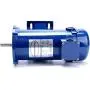 Yaetek DC MOTOR, 1750RPM, 3/4HP, 56C, 90V, TEFC, PERMANENT MAGNET DC MOTOR