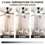 Obabala Outdoor Ceiling Fan, 52
