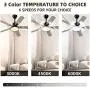 Obabala Outdoor Ceiling Fan, 52