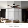Smart Ceiling Fan 52 5-Blade with Remote Control, DC Motor with 10 Speed, Dimmable LED Light Kit Included, Smafan Apex Works with Google Assistant and Amazon Alexa, Siri Shortcut.…