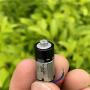 Xuulan Xianglaa-Motor Micro Geared Motor, Mini M10 Planetary Gear Motor, Precision Reducer DIY Tiny Beauty Equipment Massager Vibration,
