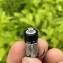 Xuulan Xianglaa-Motor Micro Geared Motor, Mini M10 Planetary Gear Motor, Precision Reducer DIY Tiny Beauty Equipment Massager Vibration, Xuulan Xianglaa-Motor Micro Geared Motor, Mini M10 Planetary Gear Motor, Precision Reducer DIY Tiny Beauty Equipment Massager Vibration,