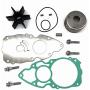 EOONI Yamaha 6AW-W0078-00-00 Sierra 18-3477 Water Pump Impeller Repair Kit for Yamaha F300 F350 Outboard Motor 6AW-W0078-00