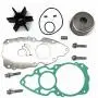 EOONI Yamaha 6AW-W0078-00-00 Sierra 18-3477 Water Pump Impeller Repair Kit for Yamaha F300 F350 Outboard Motor 6AW-W0078-00 EOONI Yamaha 6AW-W0078-00-00 Sierra 18-3477 Water Pump Impeller Repair Kit for Yamaha F300 F350 Outboard Motor 6AW-W0078-00