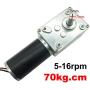 BRINGSMART 24V 5rpm DC Worm Gear Motor 70kg.cm Self-locking Reversed Mini Turbine Geared Motor for DIY Robot Rotating Table Door Lock Curtain Machine