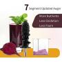 Masticating Juicer, Beet Carrot Juicer Extractor, Cold Press Juicer with Intelligent Control Speed, Slow Juicer Quiet Motor, Safety Small Feeder Chute for Fruits & Vegetables,Easy to Clean Juicer