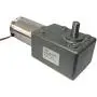 BEMONOC Electric DC Worm Gear Motor 24V Metal Gear Motor High Torque 130kg.cm 20 RPM with Gearbox 10mm Out Shaft for BBQ Replacements