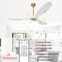 Ghicc White Ceiling Fan with Remote Control 50