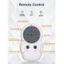 Amico Ceiling Fan with Lights, 66