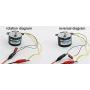 50KTYZ 110V 20rpm Bringsmart AC Gear Motor Low Noise AC Synchronous Motor Slow Speed Reducer Motor CW/CCW for Barbecue Motor