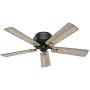 Hunter Cedar Key Indoor / Outdoor with LED Light and Remote Control, 52