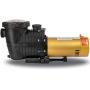 XtremepowerUS 1.5HP Inground Pool Pump 5280GPH 1.5