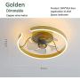 Ceiling Fan with Light and Remote Control, Modern Fan Light with 3 Invisible Fan Blades, Noiseless Reversible DC Motor for Bedroom/Living Room/Study/Kitchen/Porch (Gold) Ceiling Fan with Light and Remote Control, Modern Fan Light with 3 Invisible Fan Blades, Noiseless Reversible DC Motor for Bedroom/Living Room/Study/Kitchen/Porch (Gold)