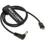 Alvins Cables Micro USB to 2.1 DC Barrel Motor Power Cable for Tilta Nucleus Nano