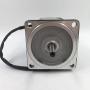 Motorong Single-Phase 110V 220V AC Gear Motor 6W (1/125 HP) (Optical axis/parallel shaft without reducer)