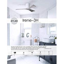 Matthews IR3H-BW-BK-42 Irene Indoor/Outdoor Damp Location 42
