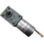 Self-hold Worm Motor Dc 12v High Torque