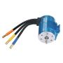 RC Model Motor, 3650 5900KV 4 Poles Brushless Motor Accessory for 1/10 1/16 1/18 RC Car Boat Car Model Accessory