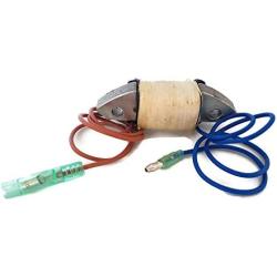 Boat Motor Charger Coil Assy Charge 61N-85541-09 19 69P-85541 T20-06040002 For Yamaha Outboard 25HP 30HP B H 2 stroke Engine