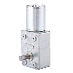 High Torque Turbo Geared Motor DC 12V Motor 2/3/10/30/100RPM (30 RPM)